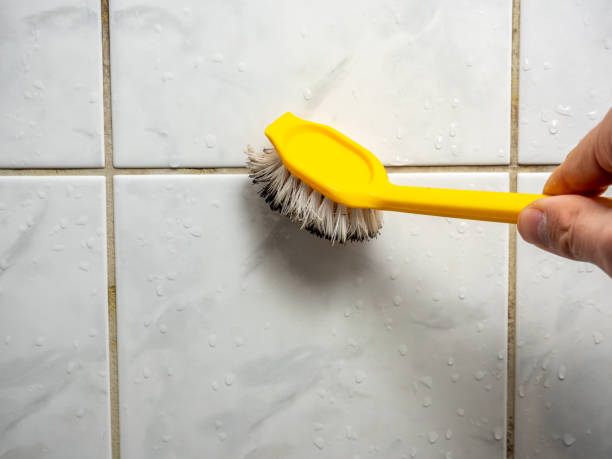 Best Preventive Mold Services in Morgantown, WV
