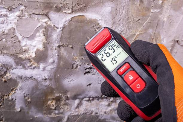 Best HVAC Mold Remediation in Morgantown, WV