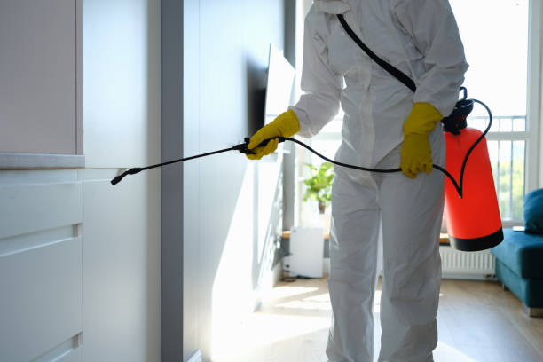 Best Mold Remediation for Schools in Morgantown, WV