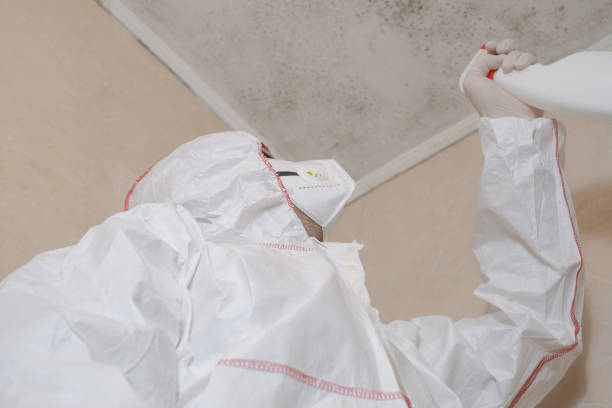 Best Mold Testing and Inspection Services in Morgantown, WV