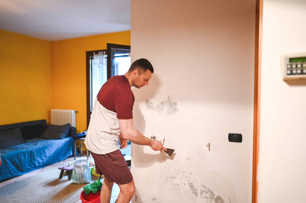 Best Crawl Space Mold Remediation in Morgantown, WV